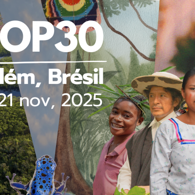 cop30-belem-bresil-06.11.25.png