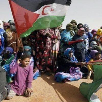 الصحراء الغربية