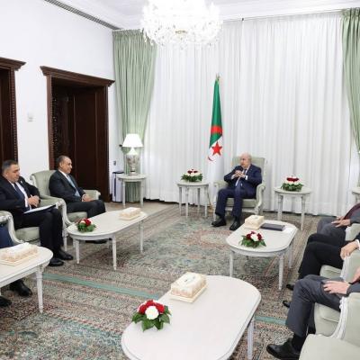 رئيس الجمهورية يستقبل وزير الخارجية المصري 