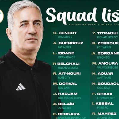 فلاديمير بيتكوفيتش