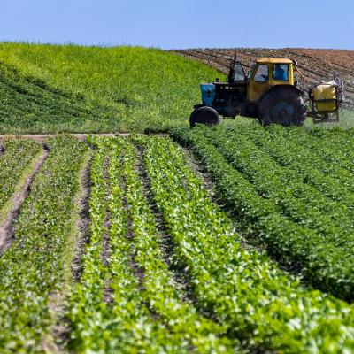 العقار الفلاحي 