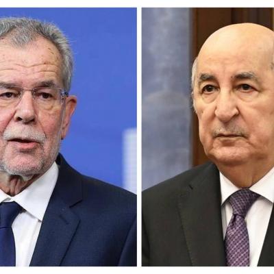 الرئيس النمساوي: "العلاقات الممتازة حافز للتعاون خصوصاً في الهيدروجين"