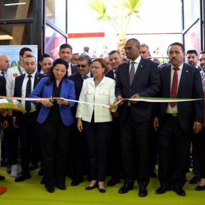 رسكلة و تدوير النفايات: ارتفاع عدد الناشطين الى قرابة 20 ألف 