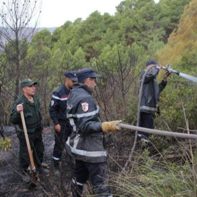 حرائق الغابات بتيبازة