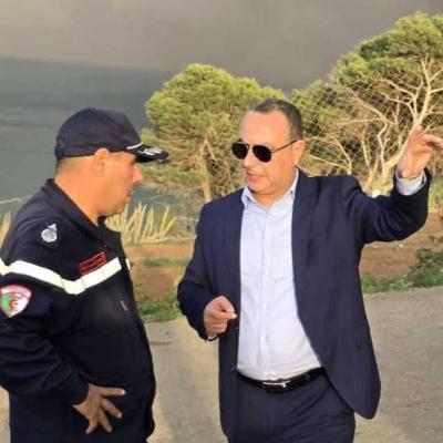 حرائق الغابات بتيبازة 