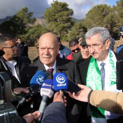 جمال طواهرية