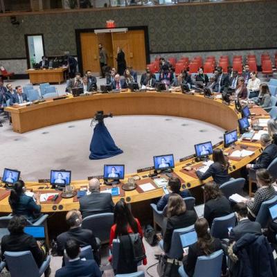 UN Security Council