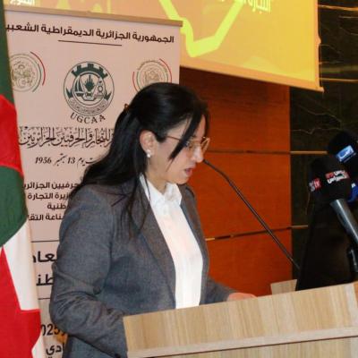 amel_abdelatif-commerce_interieur