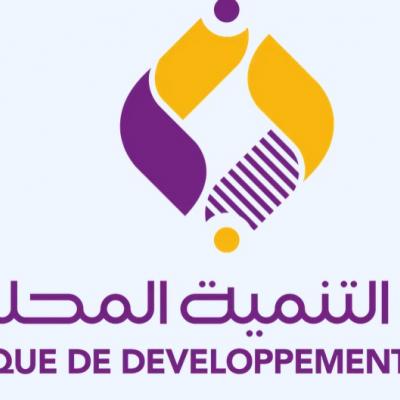 بنك التنمية المحلية 