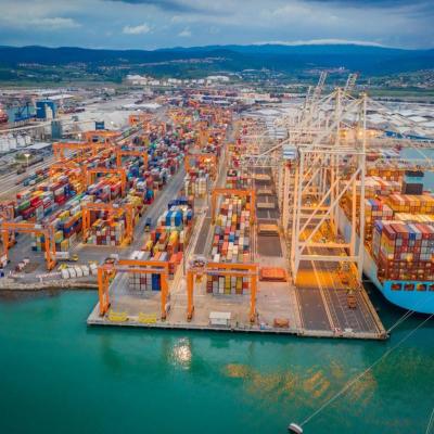 كنان الجزائر