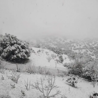 تساقط الثلوج