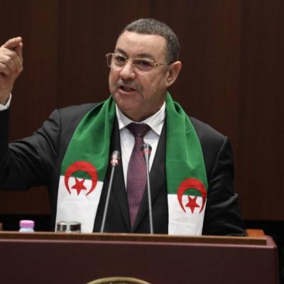 سعيود قانون المرور