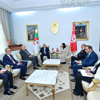 محادثات بين الوزير الأول سيفي غريب و رئيسة الحكومة التونسية 