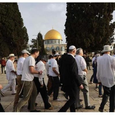  فلسطين : عشرات المستوطنين الصهاينة يقتحمون المسجد الأقصى المبارك
