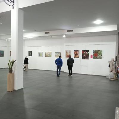 وهران : افتتاح المعرض الفني الجماعي "من تحت الركام غزة بالألوان"