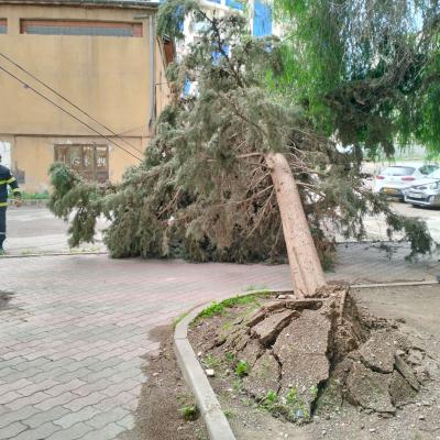 حماية مدنية