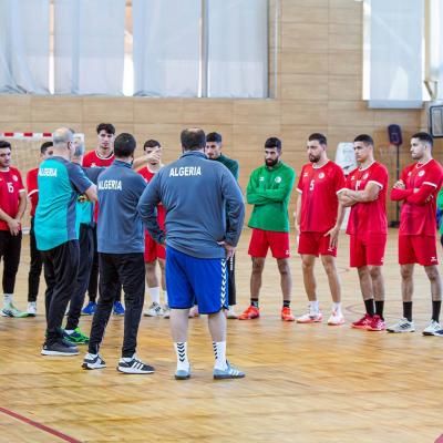 Equipe nationale de handball