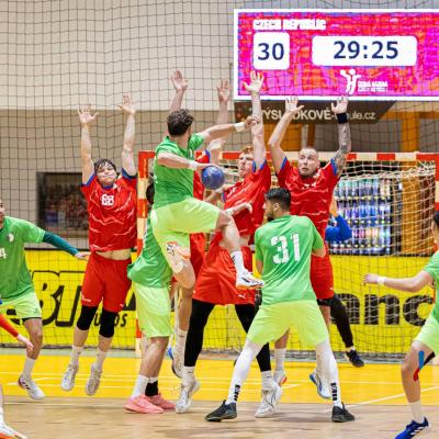 Equipe nationale de handball