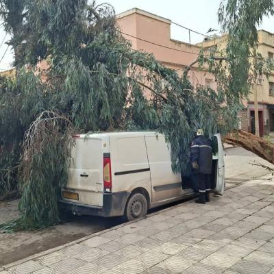 هبوب رياح قوية: عدة تدخلات للحماية المدنية دون تسجيل خسائر (حماية مدنية) 