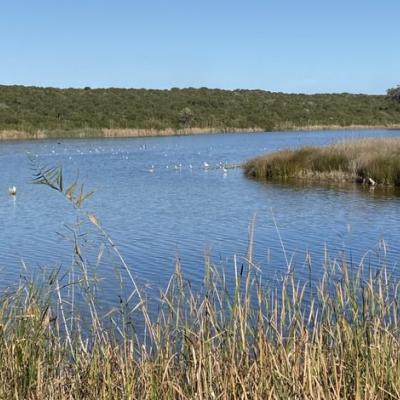 المناطق الرطبة