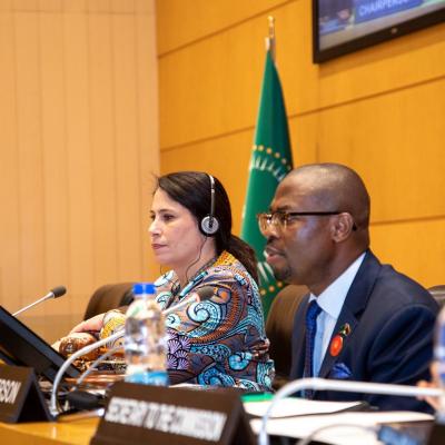 الدورة ال51 للجنة الممثلين الدائمين للاتحاد الإفريقي