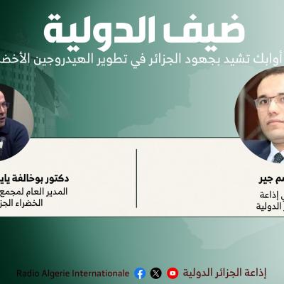 يايسي: تجسيد مشاريع الطاقات المتجددة و توفر البنى التحتية، سيجعل الهيدروجين الأخضر الجزائري أكث