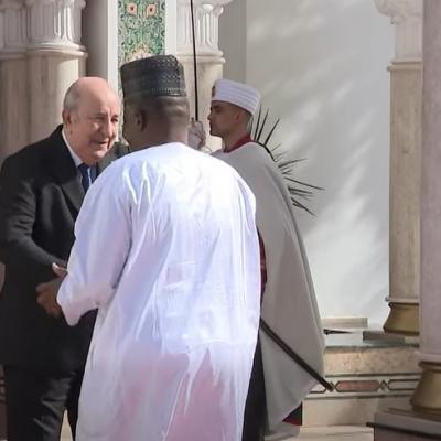 رئيس الجمهورية استقبال النيجر 