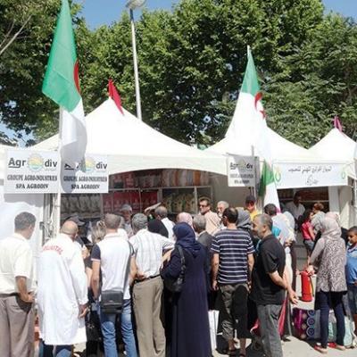 رمضان: الافتتاح الرسمي ل 560 سوقا جواريا عبر مختلف ولايات الوطن