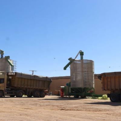Oualid lance à El-Meniaa un projet de silo céréalier stratégique d’une capacité d’un million de quintaux