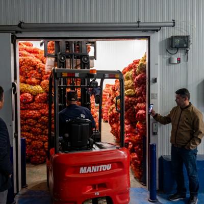 Déstockage pomme de terre