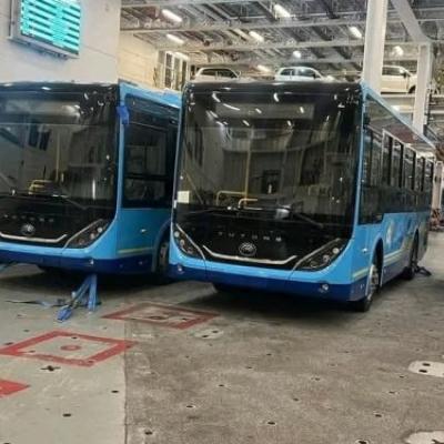 استيراد حافلات