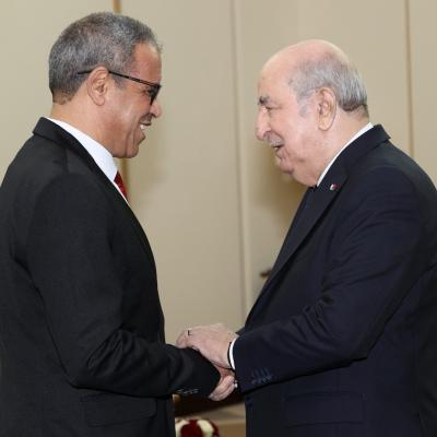 رئيس الجمهورية يستقبل رئيس المجلس الوطني للجهات والأقاليم بالجمهورية  التونسية