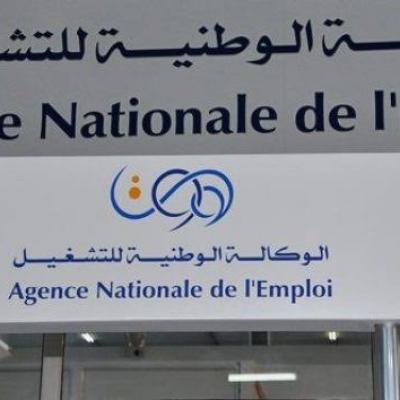 الوكالة الوطنية للتشغيل