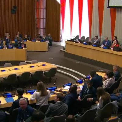 المجلس الاقتصادي والاجتماعي 