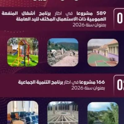 إطلاق أزيد من 580 مشروعًا يسمح باستحداث أزيد من 5800 منصب شغل مؤقت