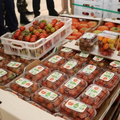 الطماطم الطازجة 