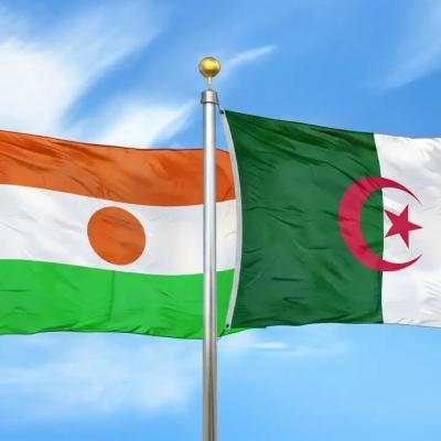 الجزائر النيجر