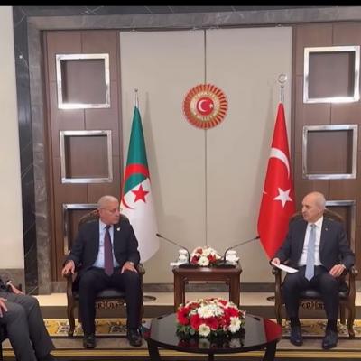 الجزائر تركيا 