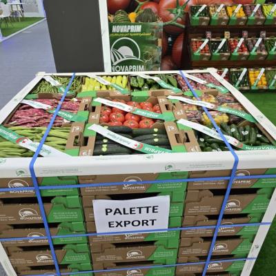 Lancement samedi d’une vaste opération d’exportation depuis 13 wilayas 