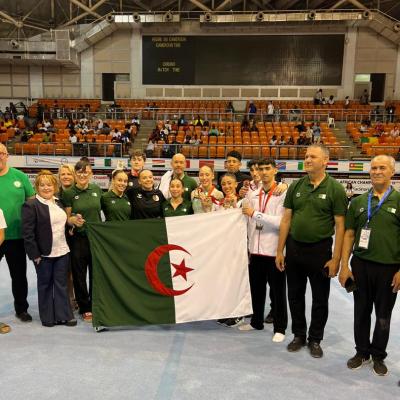 بطولة إفريقيا للجمباز الفني