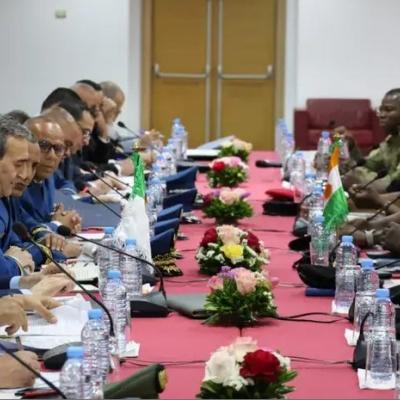 الجزائر النيجر 