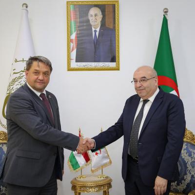 الجزائر والمجر 