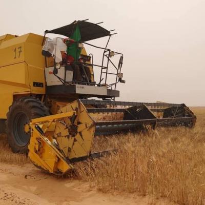 agri-dz-it-15.05.26.jpg