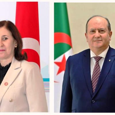 الوزير الأول يجري مكالمة هاتفية مع نظيرته التونسية 