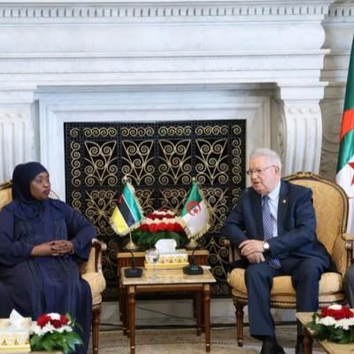  ناصري يستقبل رئيسة جمعية جمهورية موزمبيق 