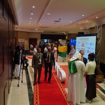 استثمار