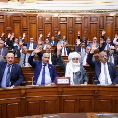 Adoption du texte de loi relatif aux conditions d'exercice des activités commerciales