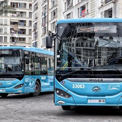 L'Etusa lance 30 nouvelles lignes à Alger et sa périphérie à partir de dimanche