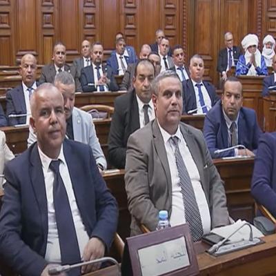مجلس الأمة 