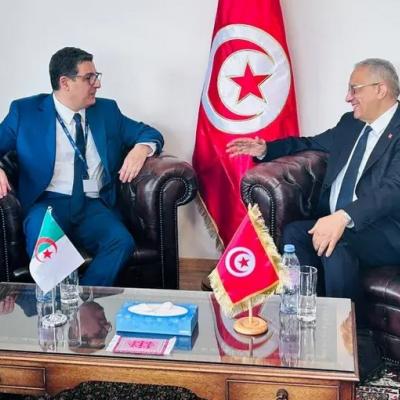 آيت مسعودان يلتقي بنظيره التونسي في جنيف 